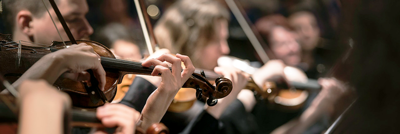 Geiger:innen im Orchester